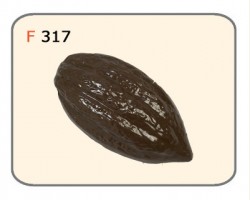 Fruto Del Cacao