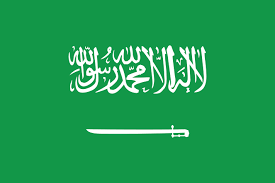 Saudi Arabia_pais_arabia.png